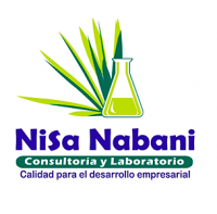 Logo-nisa-min