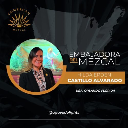 Mesa de trabajo 2 copia 4